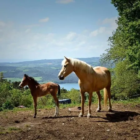 Villa Podere Antico Con Piscina Civitella Del Lago