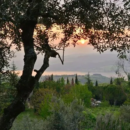Podere Antico Con Piscina *