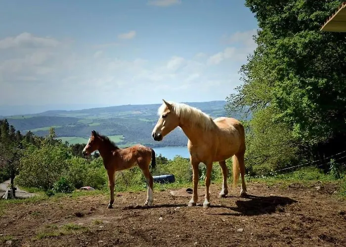 Villa Podere Antico Con Piscina Civitella Del Lago